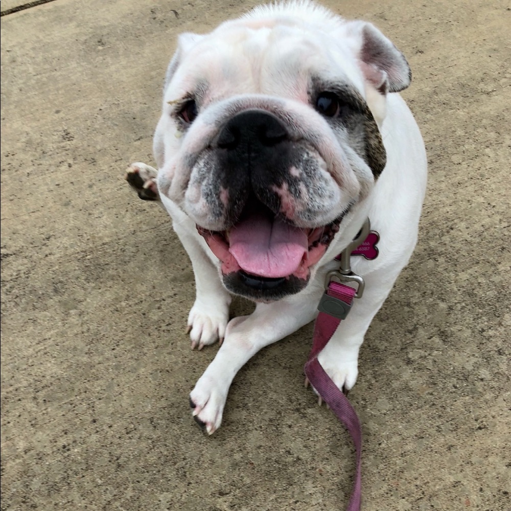 Meet your Posher, Jessica